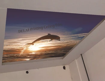 D-1013 дельфин, прыгающий в море, Печать натяжных потолочных пленок из нового водонепроницаемого декоративного материала