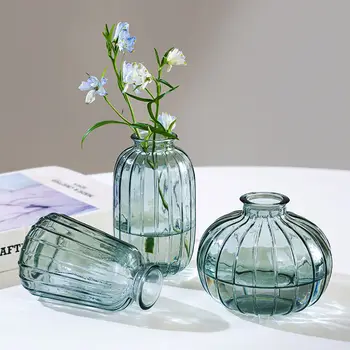 Креативная маленькая ваза, набор из 3 предметов, Стеклянная ваза, Прозрачный культивированный в воде зеленый ананас, Настольная цветочная композиция, украшения