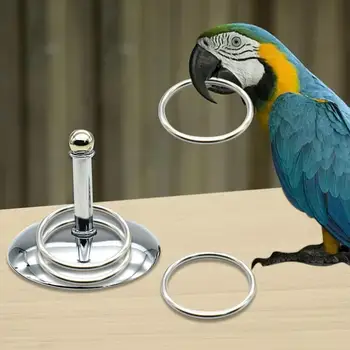 Металлические попугаи Интерактивные обучающие игрушки Для развития интеллекта, Наборы для укладки колец, Товары для птиц, Игрушки для попугаев